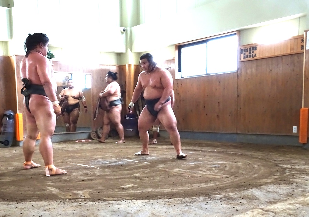 全身筋肉のマッチョマン、関取へ快進撃　鎌ケ谷の大相撲朝日山部屋・白月狼