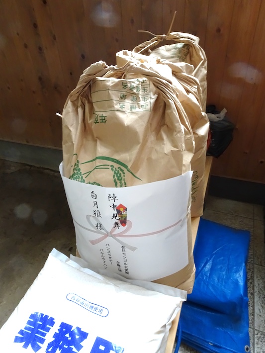 全身筋肉のマッチョマン、関取へ快進撃　鎌ケ谷の大相撲朝日山部屋・白月狼