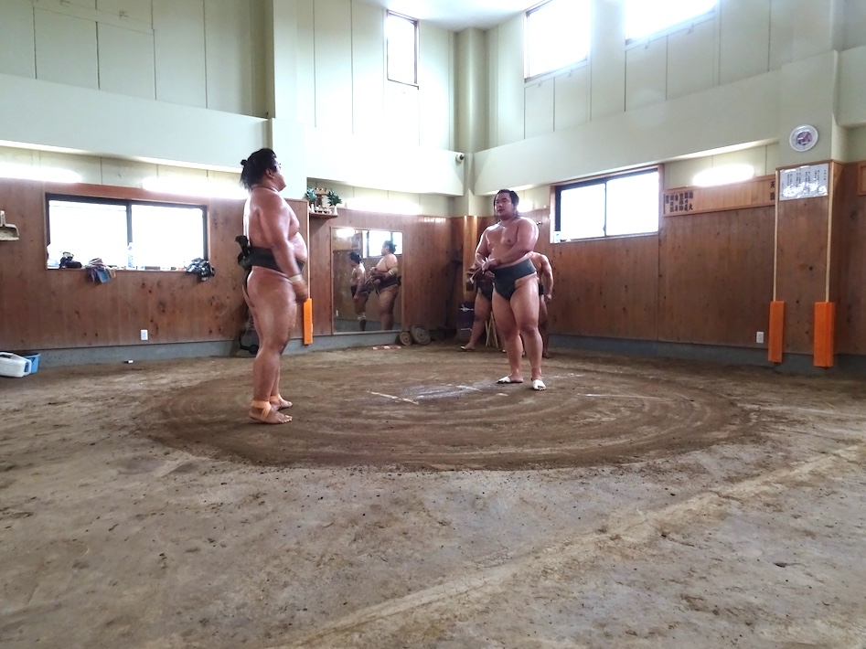全身筋肉のマッチョマン、関取へ快進撃　鎌ケ谷の大相撲朝日山部屋・白月狼