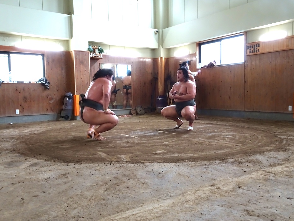 全身筋肉のマッチョマン、関取へ快進撃　鎌ケ谷の大相撲朝日山部屋・白月狼